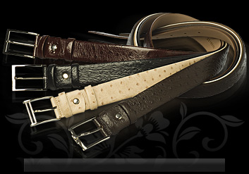 img/products/belts/ov/2316000.jpg